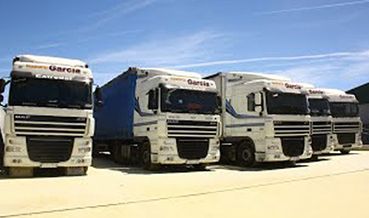 Garsotrans - García Sopo Transportes, S.L. variedad de camiones